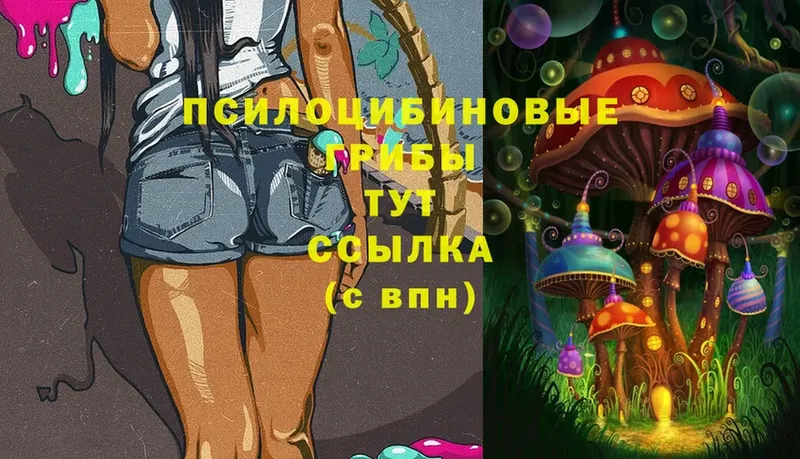 MEGA ссылки Волгоград Псилоцибиновые грибы Psilocybe